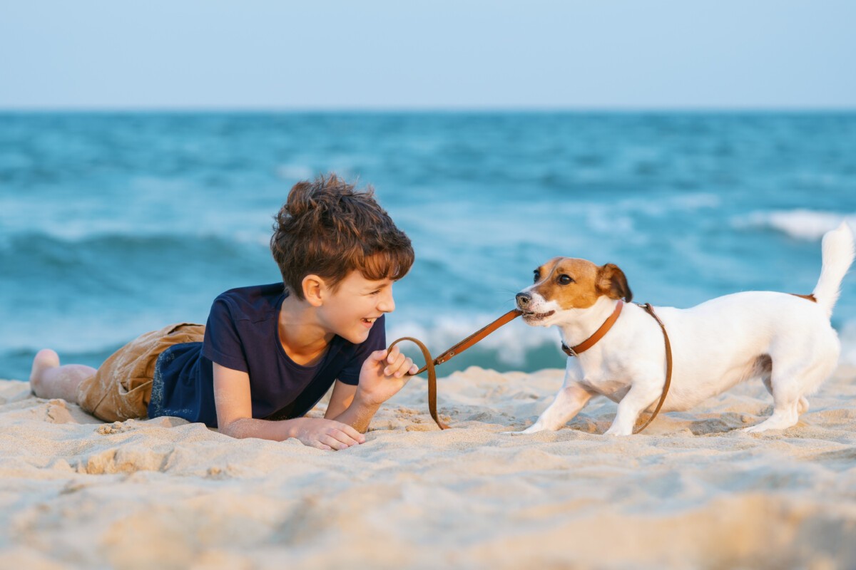 vacanza mare con il cane